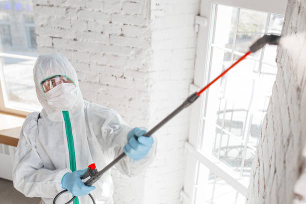 Best Commercial Mold Remediation in Selmont West Selmont, AL